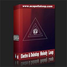 旋律素材/Electro & Dubstep Melody Loop